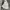 Y2K DEVELOP PAINT ART LONGPANTS photo 4