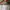 Tsumori Chisato Vintage Parka Pria green photo 6