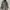 Tsumori Chisato Vintage Parka Pria green photo 1