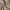 Basic Japanese active waist tailored trousers taupe beige re photo 6