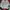Streetwear Sportswear Hat Pria white photo 5