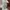 Vans Streetwear T-shirt Pria multicolor photo 8