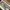NIKE AF1 DARK STUCCO photo 2