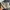 NIKE AF1 DARK STUCCO photo 1