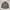 Harrington Mesen Casual Jacket