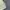 Vintage Harrington Matcha Polo Ralph Lauren Work Jacket photo 7