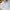 Halfzip raplh lauren grey photo 1