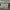 Paypall photo 2