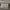Paypall