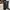 Y2K bootcut black photo 2