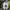 Adidas Sportswear Sneakers Pria gray photo 6