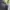 Adidas Sportswear Sneakers Pria gray photo 5