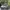 Adidas Sportswear Sneakers Pria gray photo 1