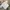 Tshirt Uniqlo Basic Blanktee Colour White photo 3
