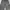 Baggy jeans Cargo grey  photo 5