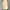 Mohair yellow cardigan  photo 6