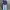Thom Browne Sportswear Casual Sweater Pria navy photo 1