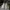 Adidas Sportswear Sneakers Pria white photo 4