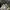 Adidas Sportswear Sneakers Pria white photo 6