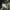 Adidas Sportswear Sneakers Pria white photo 2