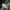 Adidas Sportswear Sneakers Pria White