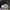 Adidas Sportswear Sneakers Pria white photo 3