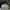 Adidas Sportswear Sneakers Pria white photo 1