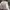 Adidas Sportswear Sneakers Pria white photo 7
