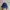 Levi's Streetwear Hat Pria blue photo 1