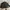H&M Vintage Skater Hat Pria Black