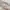 Givenchy Vintage Luxury Culotte Wanita cream photo 4