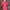 Burberry Brit Poloshirt Women photo 1