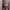 Y2K Grunge Goth Emo Vintage Longsleeve photo 5
