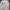 Vintage Casual Formal pants Pria tan photo 5