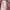 Vintage Casual Formal pants Pria tan photo 4