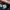 ADIDAS BLACKBURN SPZL COLLEGIATE GREEN SCARLET photo 3
