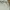 Calvin Klein Jeans White Cargo Pants photo 8