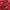 Mizuno Sportswear Casual Windbreaker Pria red photo 4