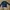 crewneck champion photo 1