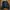 Vintage Y2K Harrington jacket Pria black photo 2