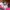 Yonex Grunge Indie Windbreaker Pria pink black photo 3