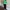 Nike ACG Puffer Down Jacket photo 2