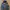 Zara Man Parka Hybrid Down Jacket photo 3