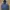 Zara Man Parka Hybrid Down Jacket photo 1