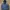 Zara Man Parka Hybrid Down Jacket