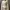 crop blazer BW mix renda photo 1