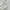 Colza Lolita Coquette Sweatshirt Wanita white photo 5
