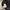 Morgan De Toi Grunge Lolita Going out dress Wanita black photo 6