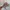 Realtree Zoom photo 3