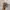 Realtree Zoom photo 2